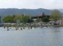 0_2347126_12663.jpg