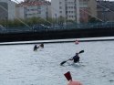 0_2347164_12663.jpg