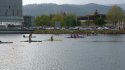 0_2347281_12663.jpg