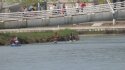 0_2347295_12663.jpg