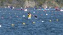 0_2356718_12663.jpg
