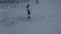 0_2398352_12663.jpg