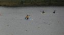 0_2435397_12663.jpg