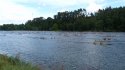 0_2475875_12663.jpg