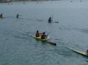 0_2488807_12663.jpg